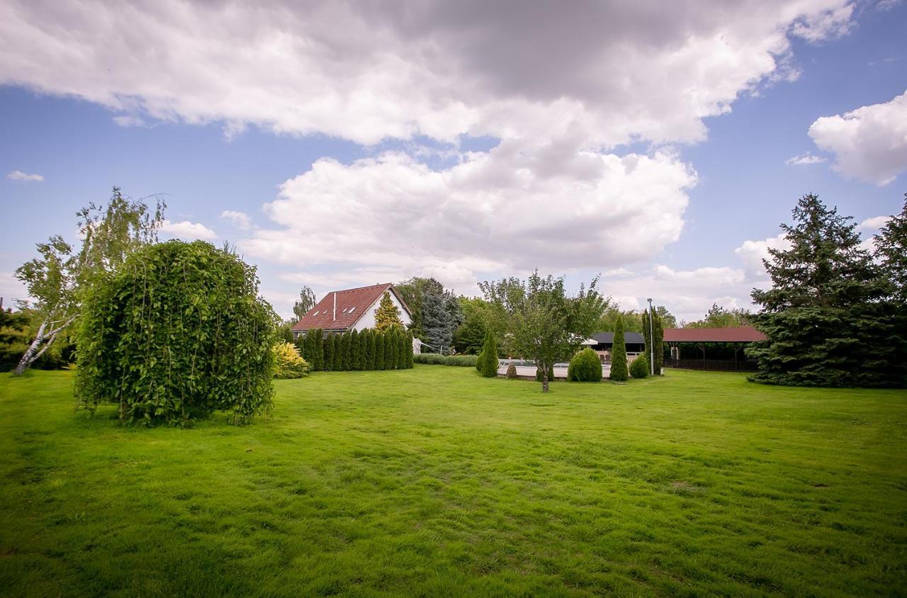 Forras Vendeghaz Villa Dunaegyhaza Exterior photo