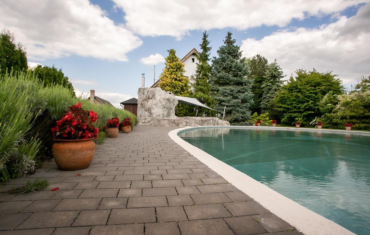 Forras Vendeghaz Villa Dunaegyhaza Exterior photo